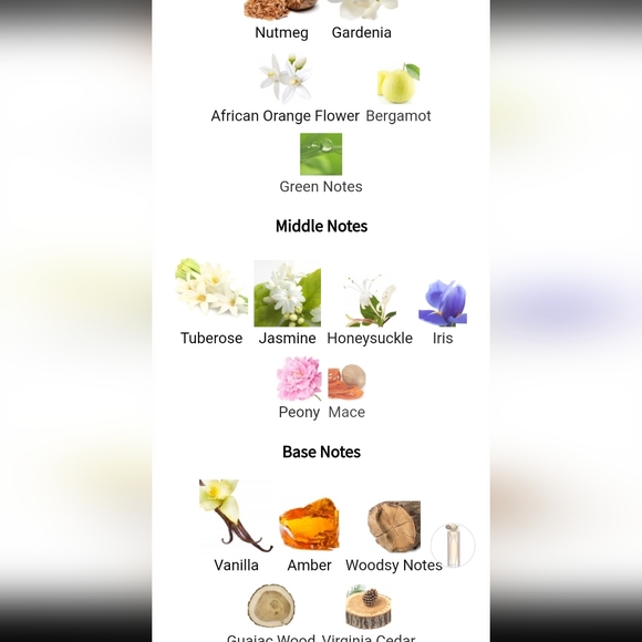 Organza by Givenchy Dry Body Oil Spray / 100ml / 3.3 fl.oz - Picture 8 of 8